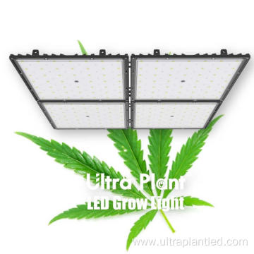 Herb Growing Lights With Full Spectrum